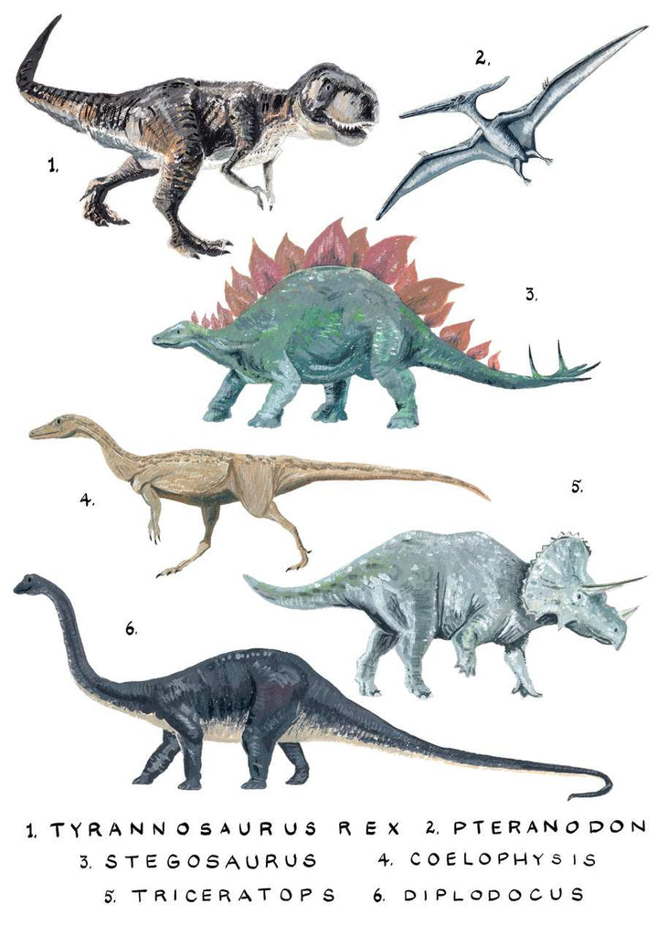 Dinosaurs Study Numbered by Simone Hale A5 – Blue Dog Posters